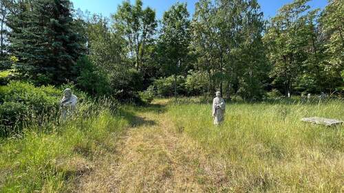 Blick aufs Grundstück - 