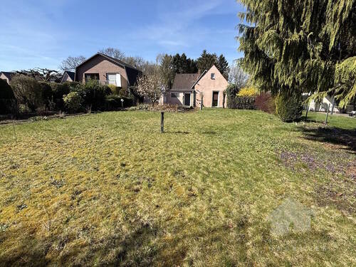 Garten mit Rasenfläche - 