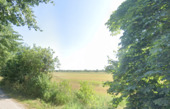 Feldansicht - Ländereien in Wiesens - 234.000,00&nbsp;EUR Kaufpreis, ca.&nbsp; 0,00&nbsp;m&sup2;