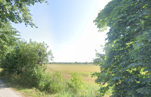 Feldansicht - Ländereien in Wiesens - 234.000,00&nbsp;EUR Kaufpreis, ca.&nbsp; 0,00&nbsp;m&sup2;