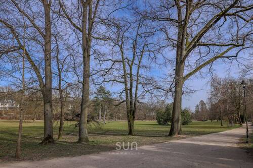 Umgebung-Park - 