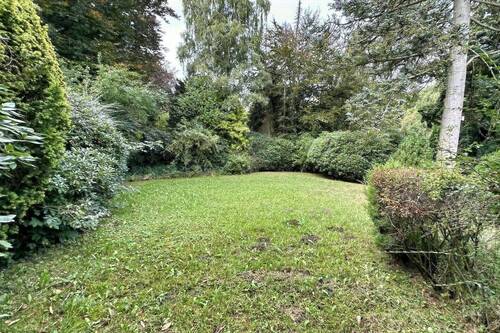 vorderer Gartenbereich - 