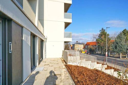 Terrasse - 3 Zimmer Etagenwohnung zur Miete in Dresden