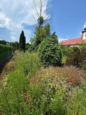 Grundstück zugewachsen - Grundstück zum Kaufen in Eiterfeld