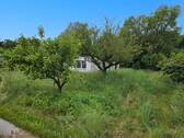 Garten - Grundstück zum Kaufen in Mönchgut
