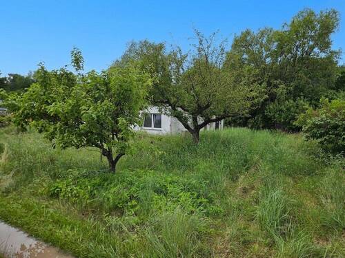 Garten - Grundstück zum Kaufen in Mönchgut
