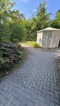 IMG_2138.jpeg - 