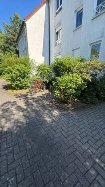 IMG_2139 1.jpeg - 