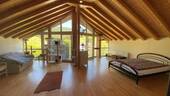 DG Dachstudio - 