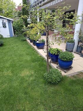 Garten - 