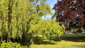 Gustav-Mahler-Platz - 
