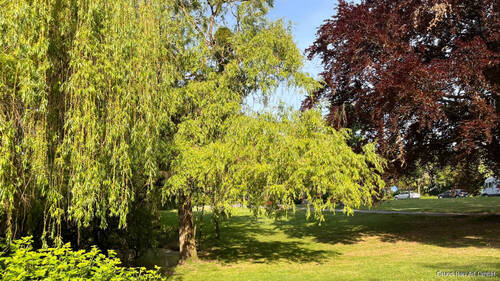 Gustav-Mahler-Platz - 