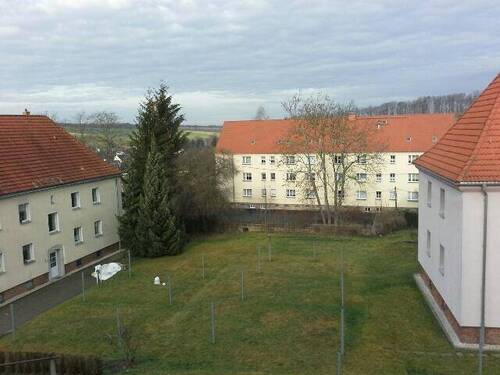 Fensterblick - 