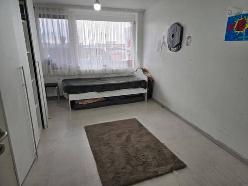 PHOTO-2025-03-11-18-55-38 5.jpg - 