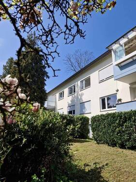 Südansicht - 4 Zimmer Etagenwohnung zum Kaufen in Inzlingen