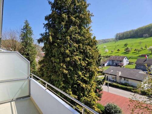 Blickrichtung Inzlingen - 