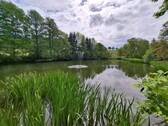 großer Teich
- 6 Zimmer Einfamilienhaus zum Kaufen in Callenberg