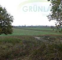 *Landwirtschaftliche Flächen Wald, Acker & Grünland zu verkaufen!* - Eisenhüttenstadt