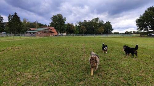 herrliche Alleinlage - 