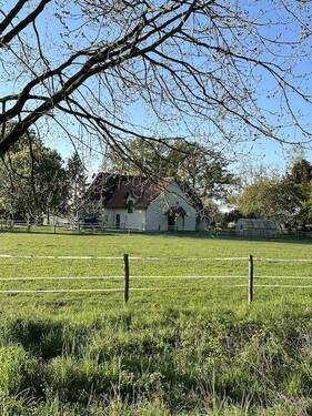 Blick von einer der Weiden - 