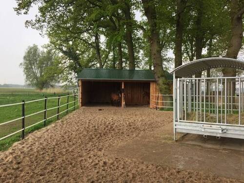 Offenstall an einem Paddock - 