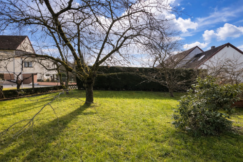 Ausschnitt vom Grundstück auf der Rückseite - 