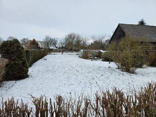 Wiese.jpg - Einfamilienhaus mit 135,00 m&sup2; in Boldekow zum Kaufen