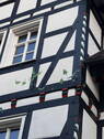 Bild 4 - Mehrfamilienhaus, Wohnhaus mit 330,00 m² in Olsberg zum Kaufen