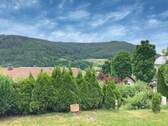 Ausblick - 