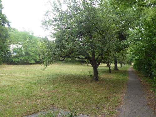 Bild1 - Entwicklungsfläche für Wohnbebauung und mehr!