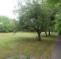 Entwicklungsfläche für Wohnbebauung und mehr! - Scheinfeld Schwarzenberg