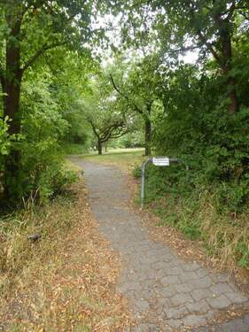 Bild4 - Grundstück in Scheinfeld zum Kaufen