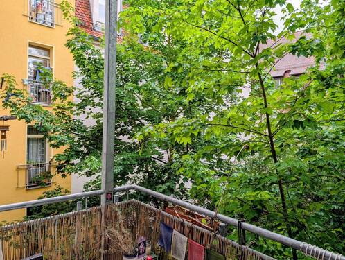 Südbalkon zum begrünten Innenhof - 