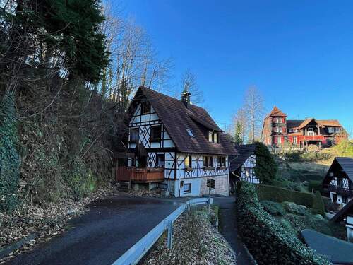 Außenansicht - Einfamilienhaus mit 128,00 m&sup2; in Sasbachwalden zum Kaufen