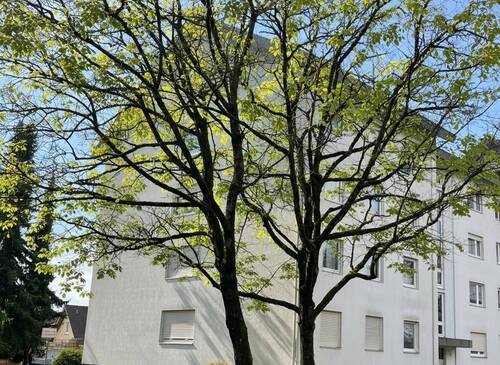 Außenansicht - 4 Zimmer Etagenwohnung zum Kaufen in Lahr