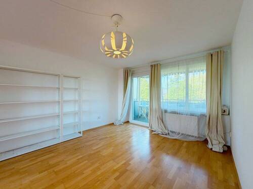 Wohn-Esszimmer - 