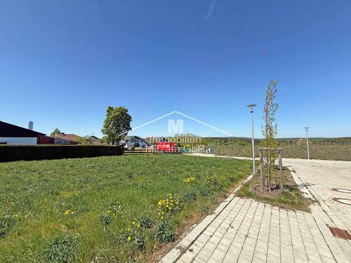 Blick Richtung Nord - Grundstück zum Kaufen in Kipfenberg