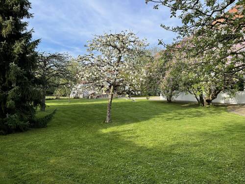 Garten - Mehrfamilienhaus, Wohnhaus mit 280,00 m&sup2; in Bad Grönenbach zum Kaufen