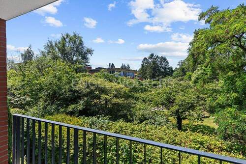 Blick ins grüne Rahlstedt vom Balkon aus - 