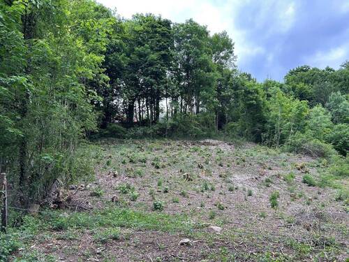 Ansicht - Grundstück zum Kaufen in Gräfenberg