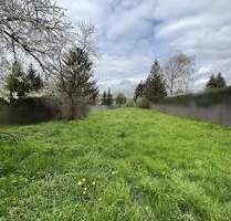Steigende Mieten & Nebenkosten? Nein, danke! Ihr Bungalow mit hohem Komfort in Mühlhausen OT Grabe