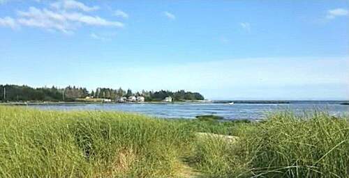 Impressionen Umgebung - 