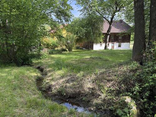 Bachlauf - 
