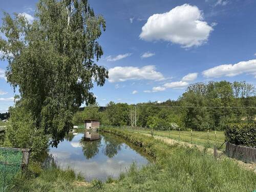 Weiher - 