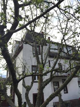 Außenansicht - 1 Zimmer Etagenwohnung in Altmittweida
