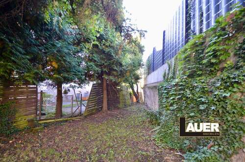 DSC_0797 - 