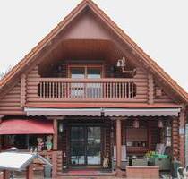 Kleines Holzhaus mit Garage, Carport, Kamin, Terrasse und Garten in Neudorf-Platendorf bei Gifhorn - Sassenburg