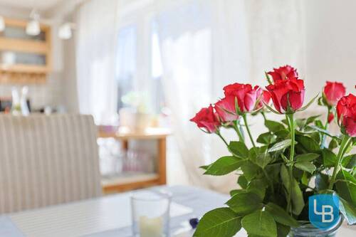 Zuhause - 