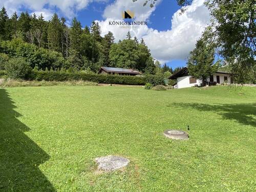 ...nach oben zum Waldrand... - 