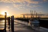 Kutterhafen am Abend - 